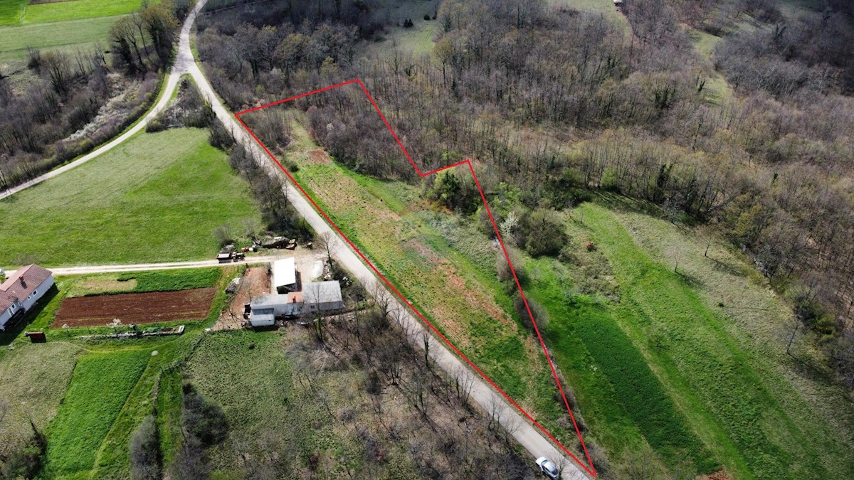 Terreno edificabile Žminj, 5.769m2