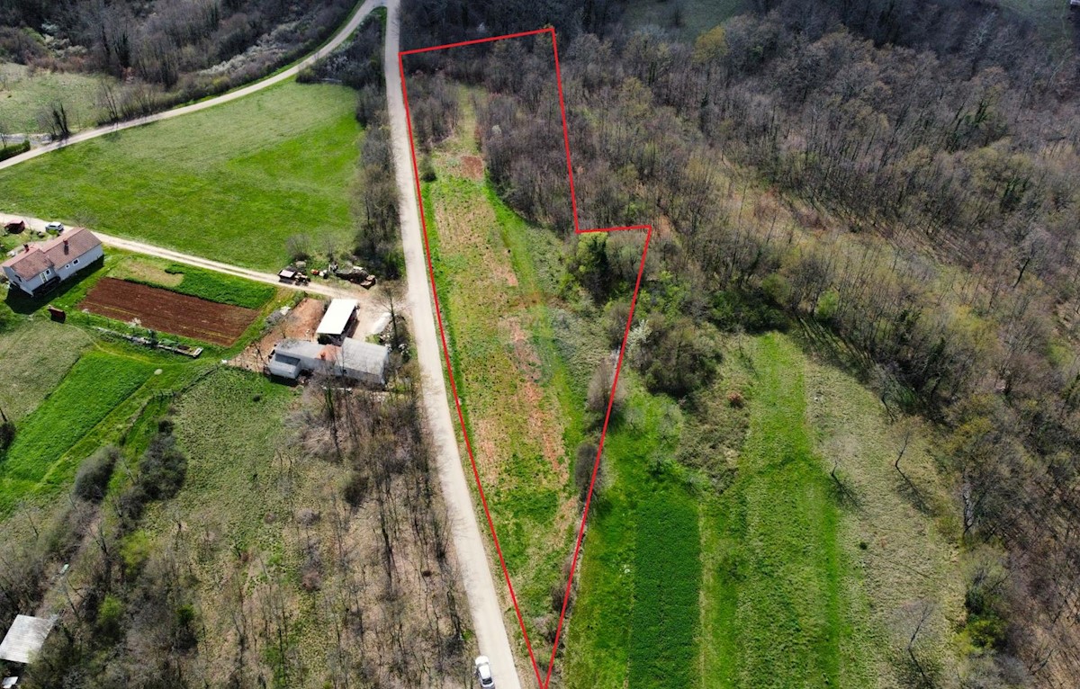 Terreno edificabile Žminj, 5.769m2