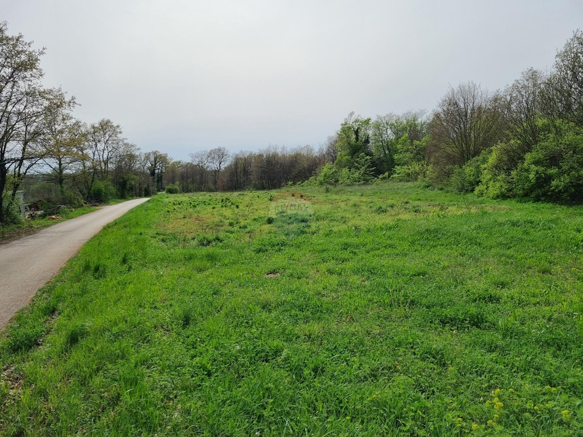 Terreno edificabile Žminj, 5.769m2