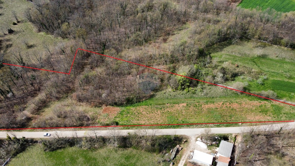 Terreno edificabile Žminj, 5.769m2