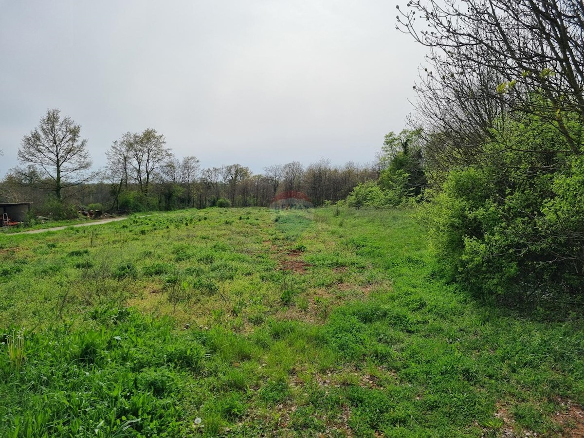 Terreno edificabile Žminj, 5.769m2