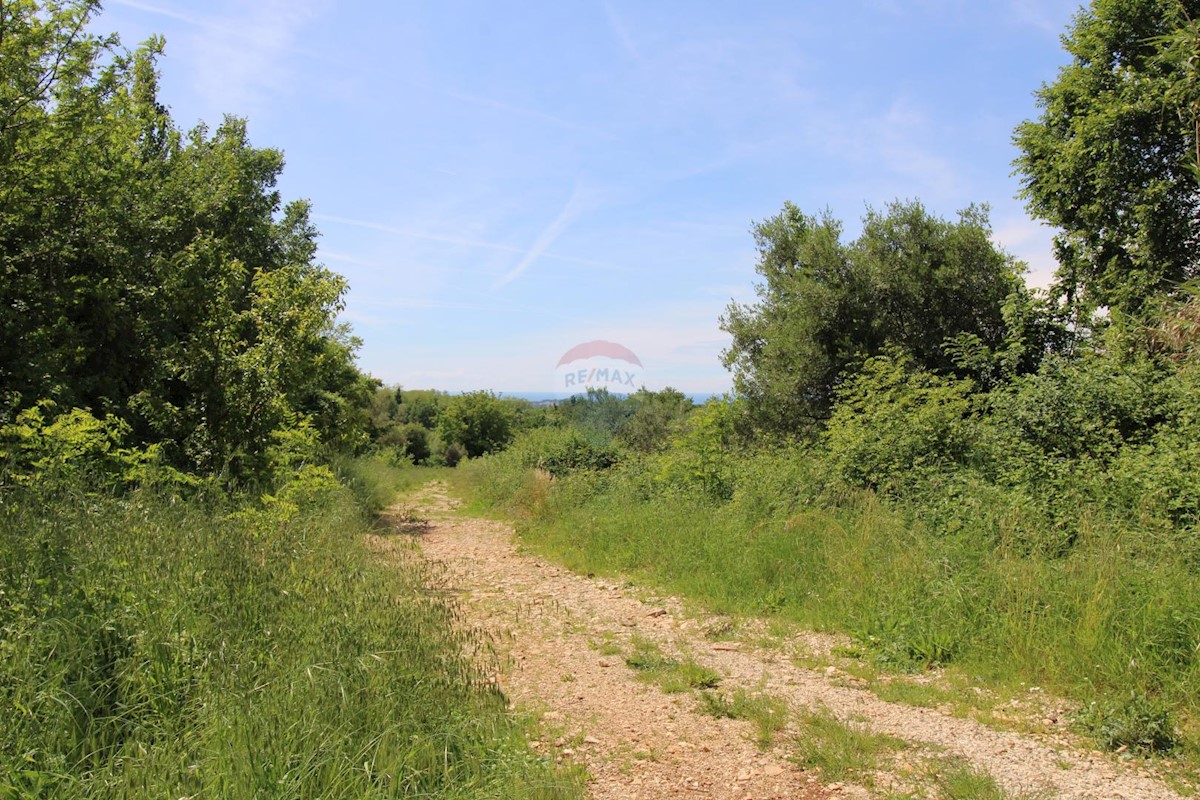 Terreno non edificabile Tar, Tar-Vabriga, 6.581m2