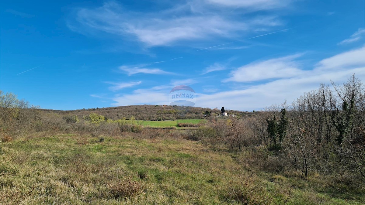 Terreno non edificabile Sveti Lovreč, 11.628m2