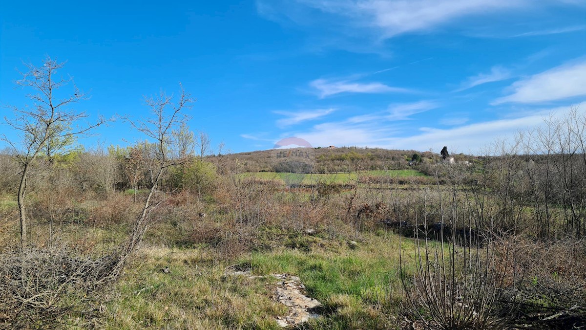 Terreno non edificabile Sveti Lovreč, 11.628m2