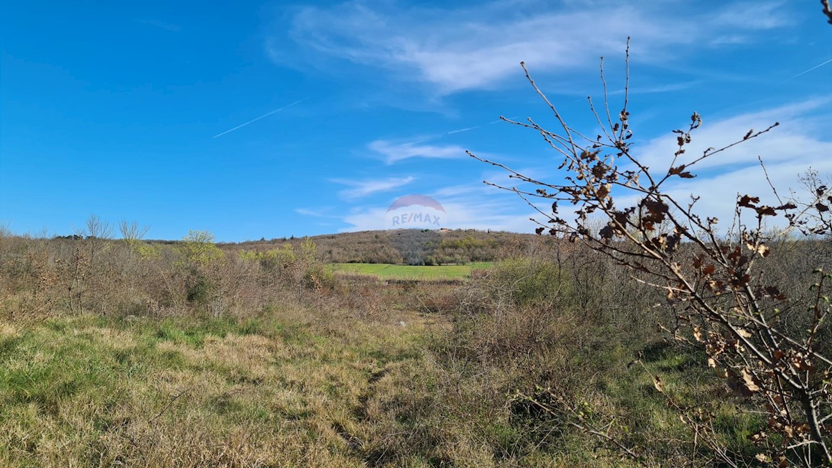 Terreno non edificabile Sveti Lovreč, 11.628m2