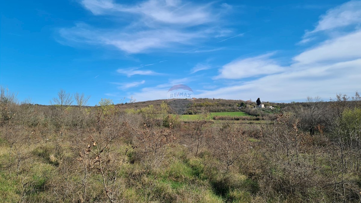 Terreno non edificabile Sveti Lovreč, 11.628m2