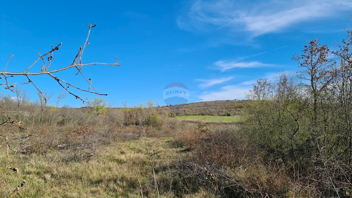 Terreno non edificabile Sveti Lovreč, 11.628m2