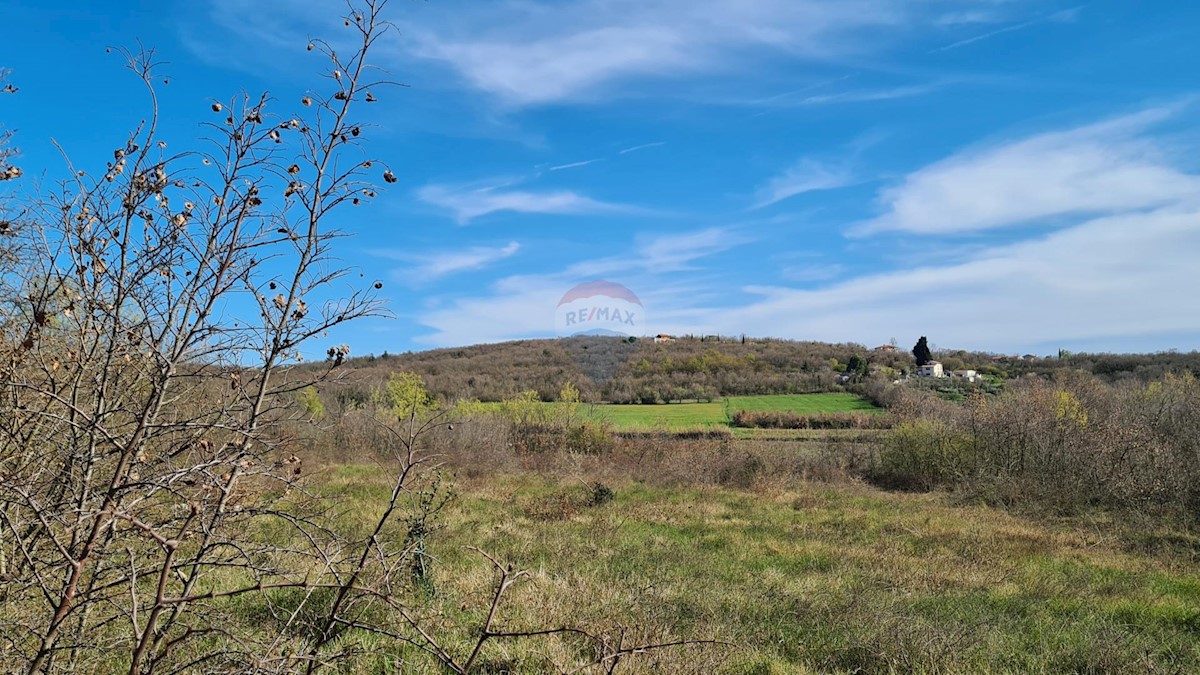 Terreno non edificabile Sveti Lovreč, 11.628m2