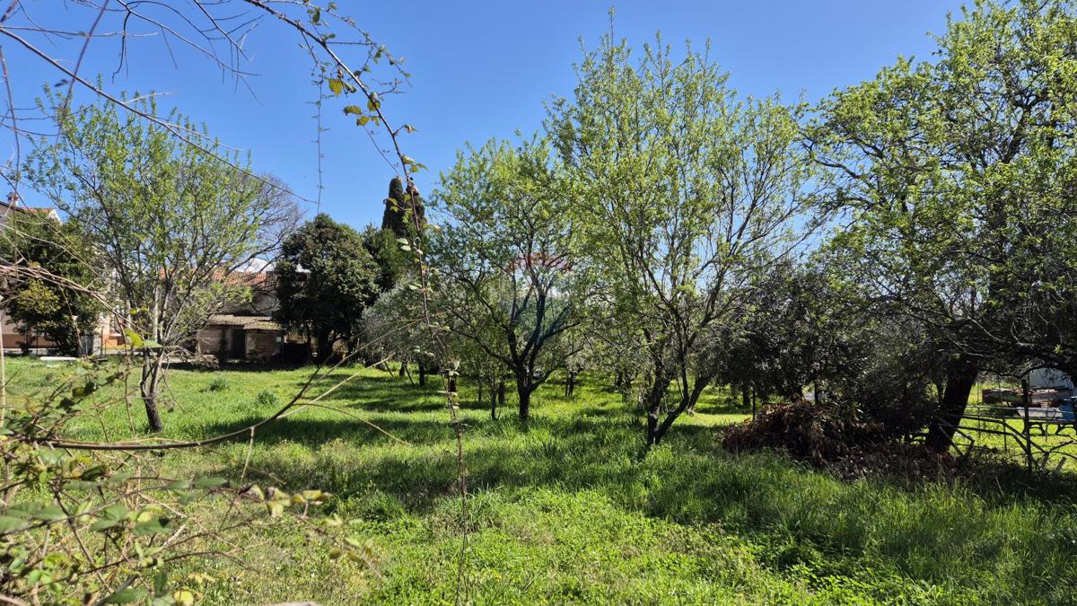 Terreno edificabile Poreč, 1.353m2