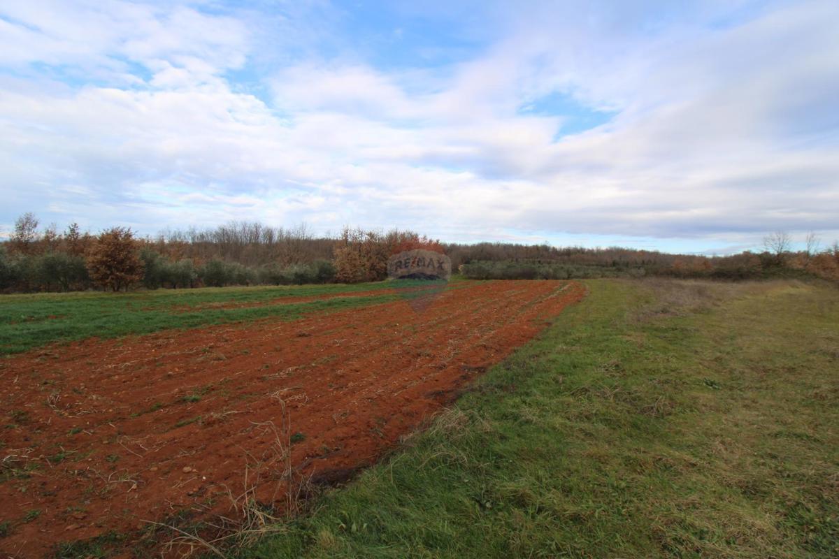 Casa Staniši, Vižinada, 330m2