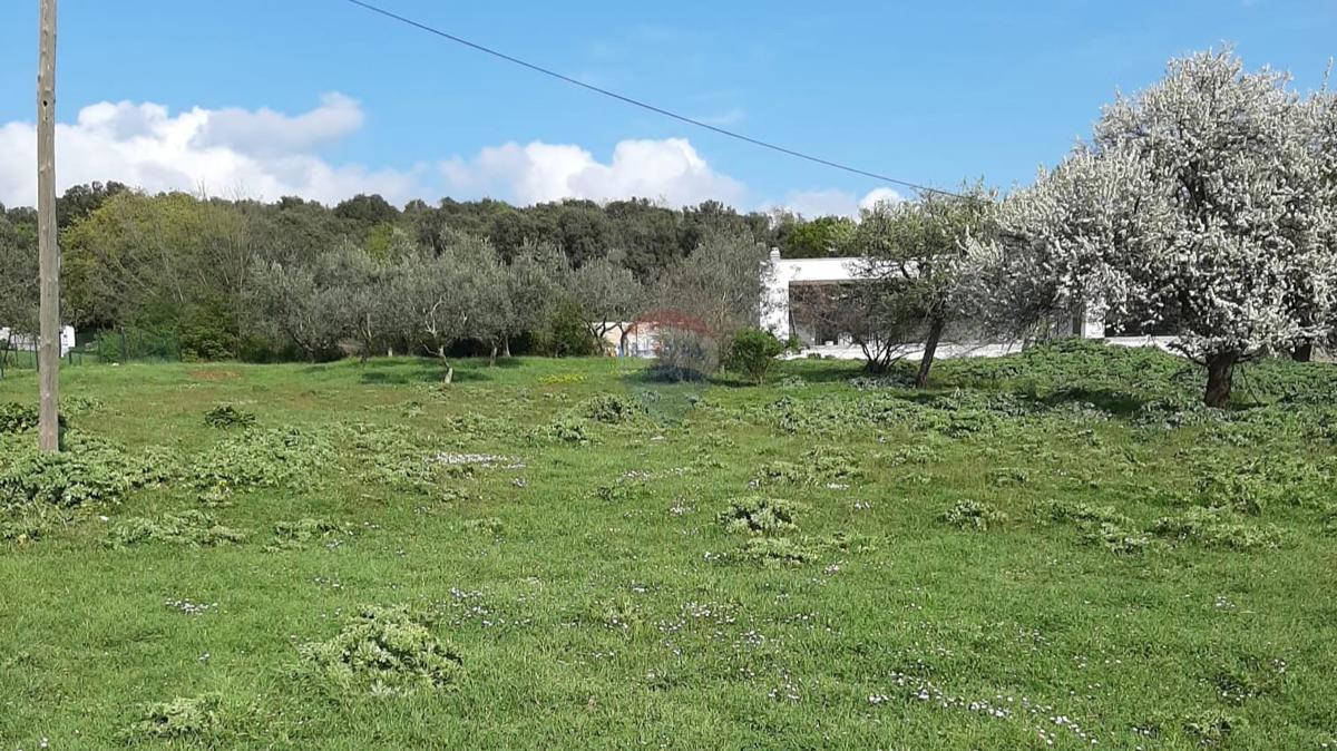 Terreno edificabile Štinjan, Pula, 750m2