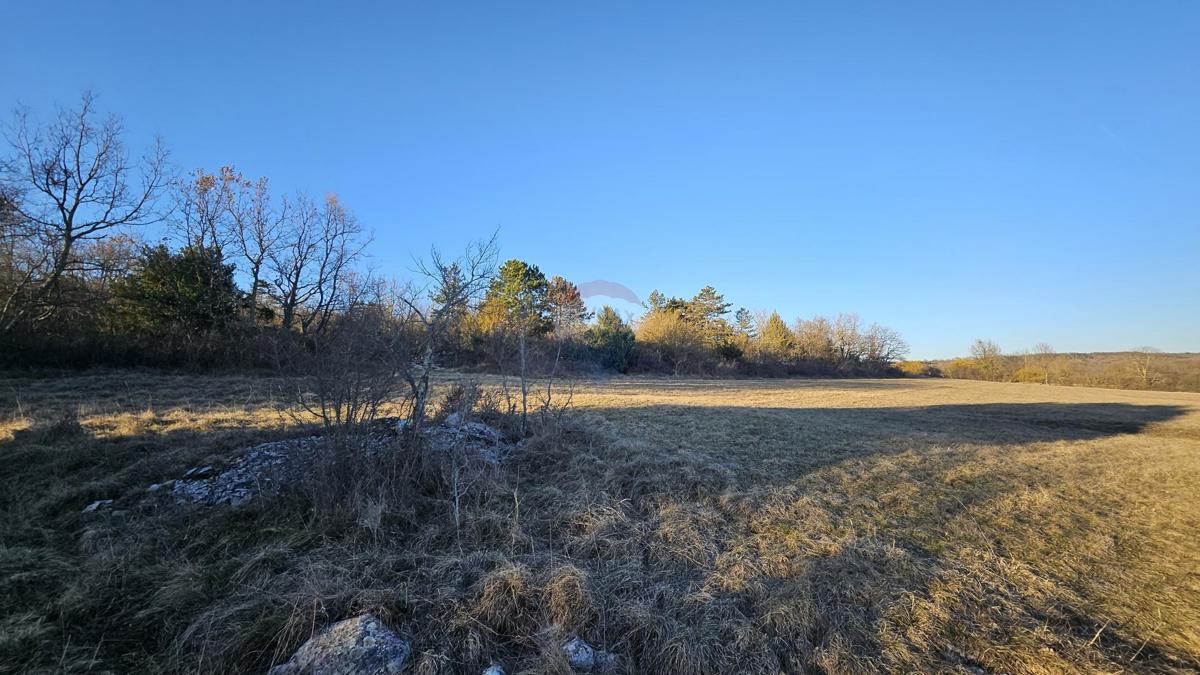 Terreno non edificabile Grožnjan, 20.342m2