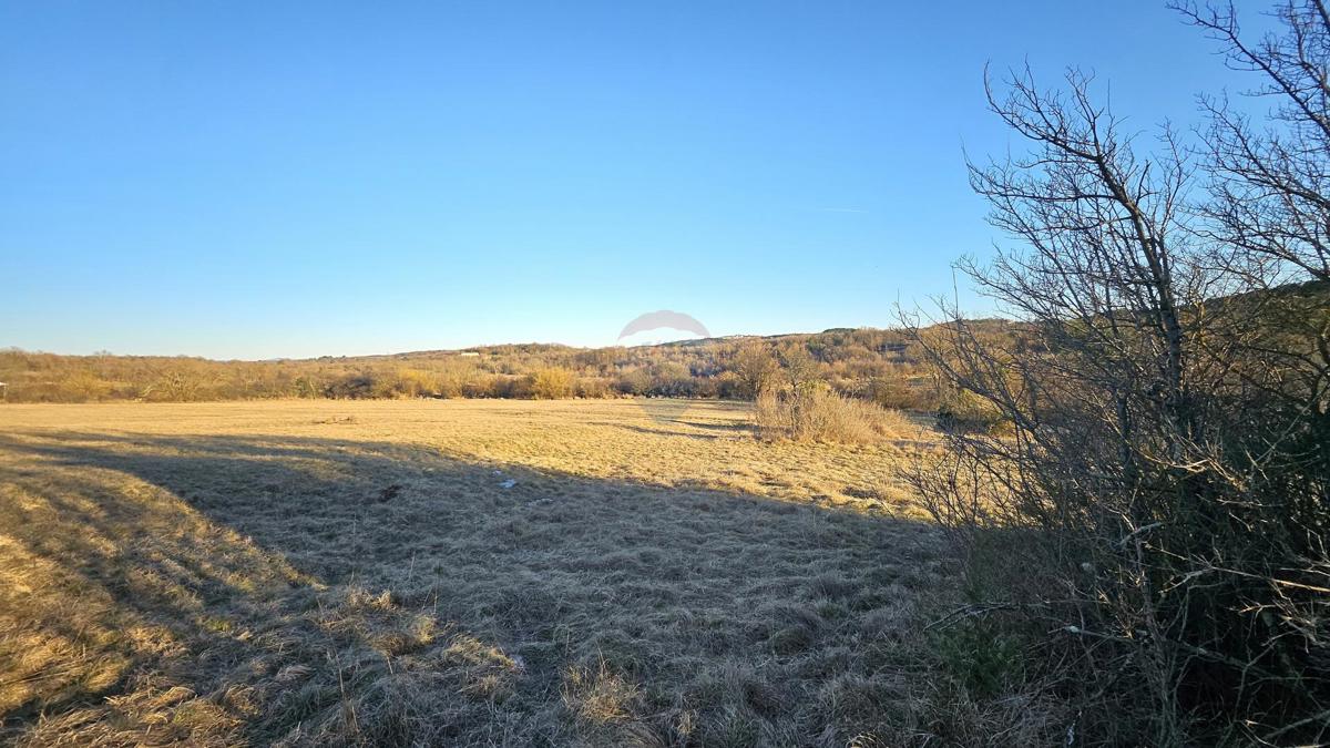 Terreno non edificabile Grožnjan, 20.342m2