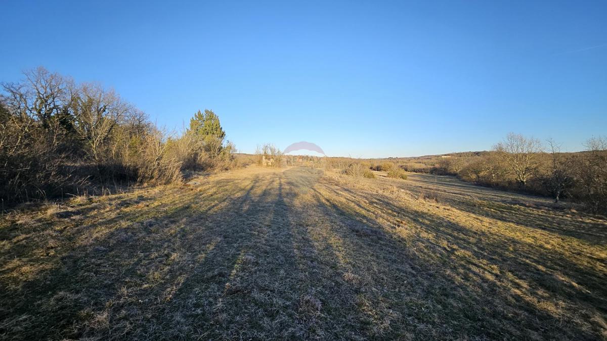 Terreno non edificabile Grožnjan, 20.342m2