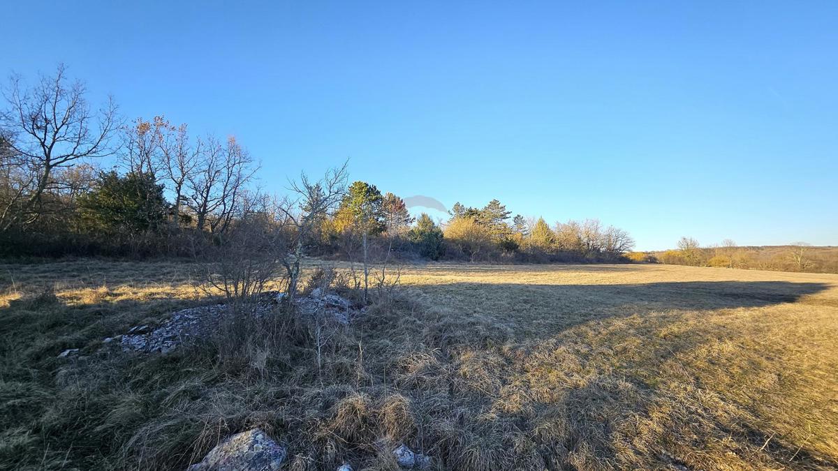 Terreno non edificabile Grožnjan, 20.342m2