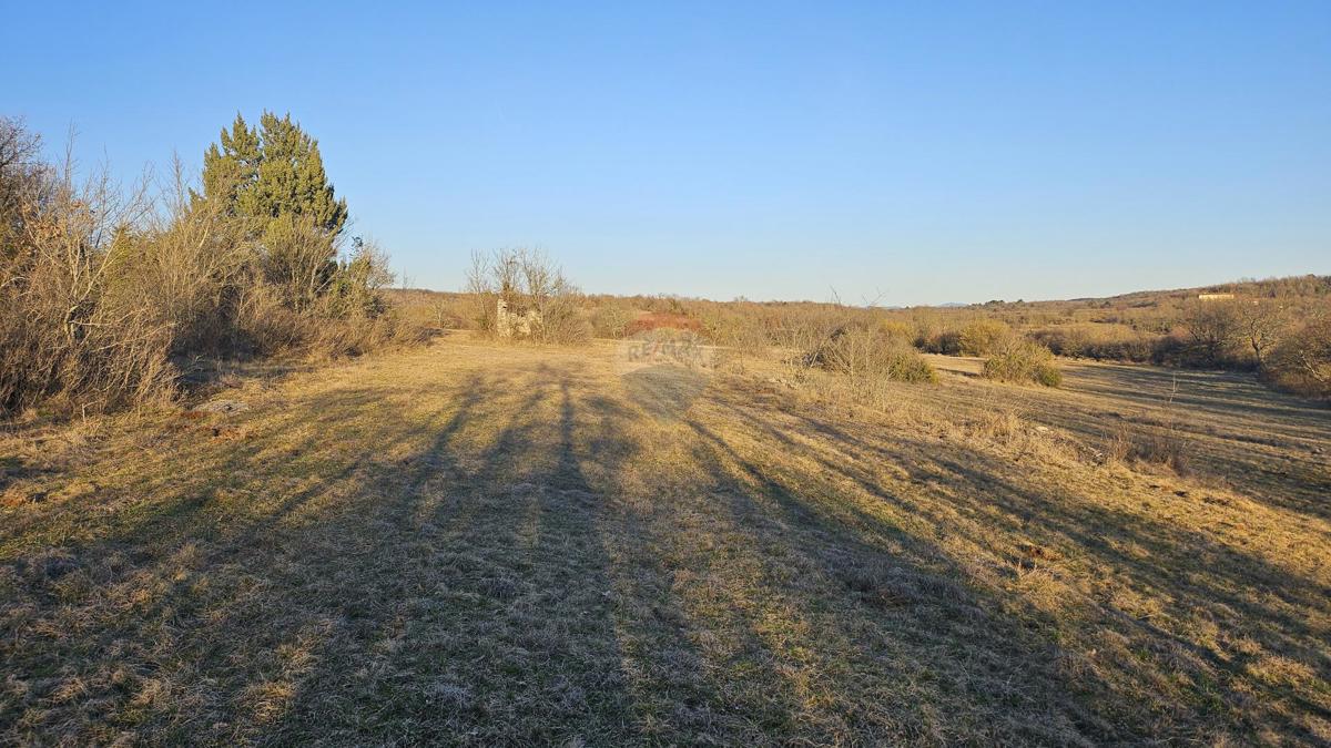 Terreno non edificabile Grožnjan, 20.342m2