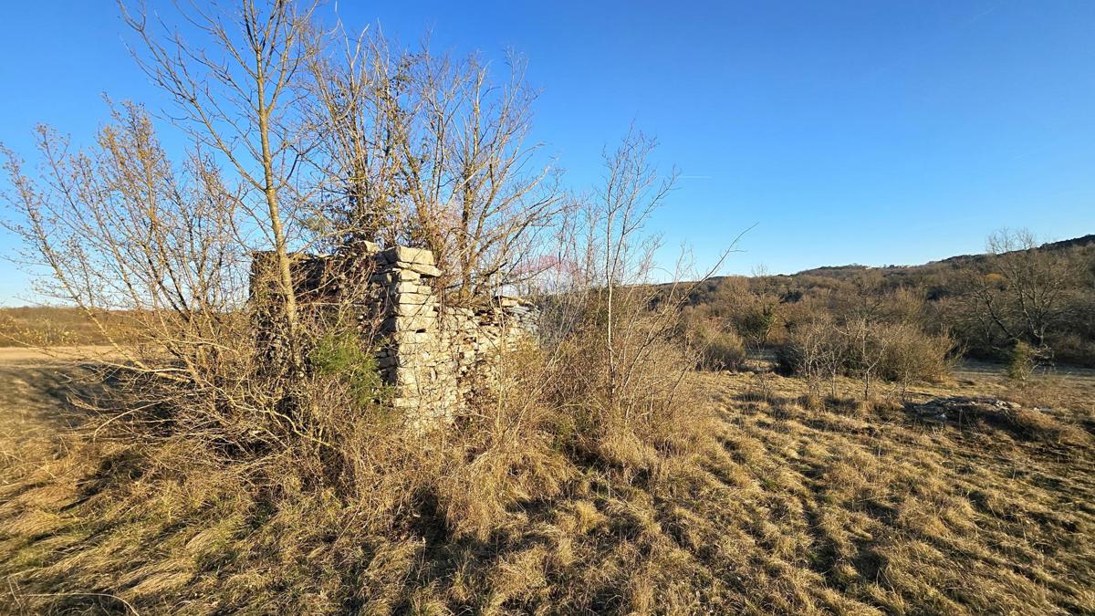Terreno non edificabile Grožnjan, 20.342m2