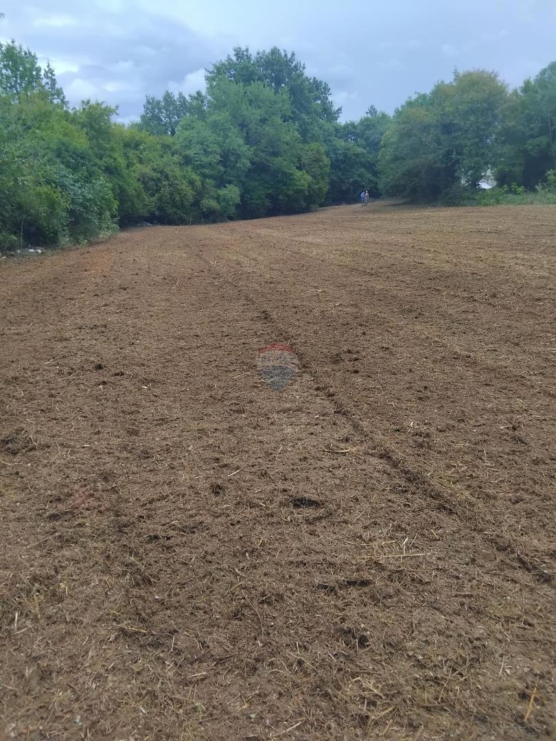 Terreno edificabile Rafaeli, Višnjan, 776m2