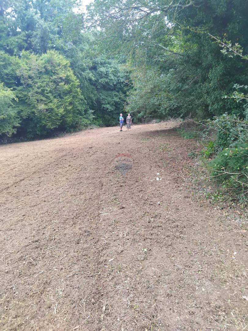 Terreno edificabile Rafaeli, Višnjan, 776m2