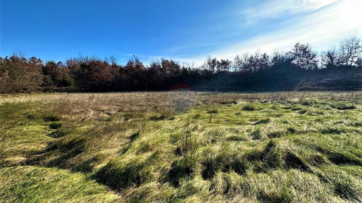 Terreno edificabile Štokovci, Svetvinčenat, 544m2
