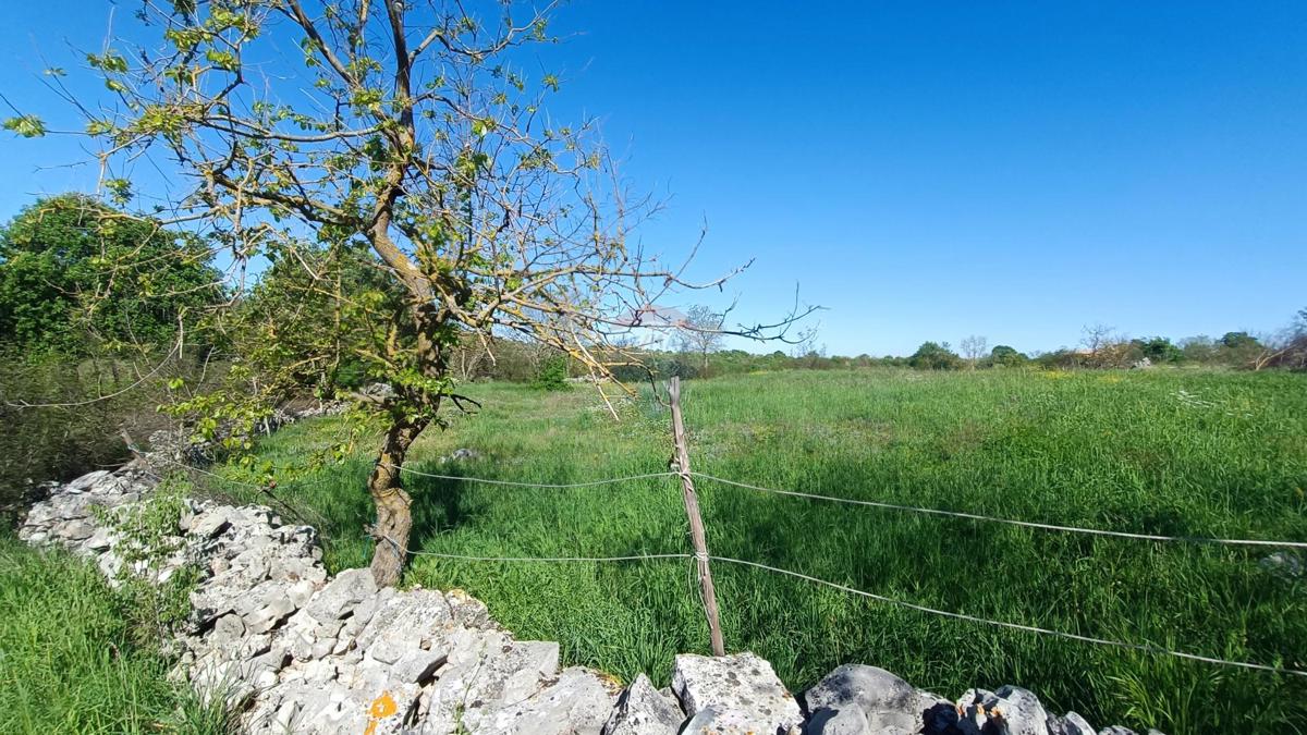 Terreno edificabile Bale, 857m2