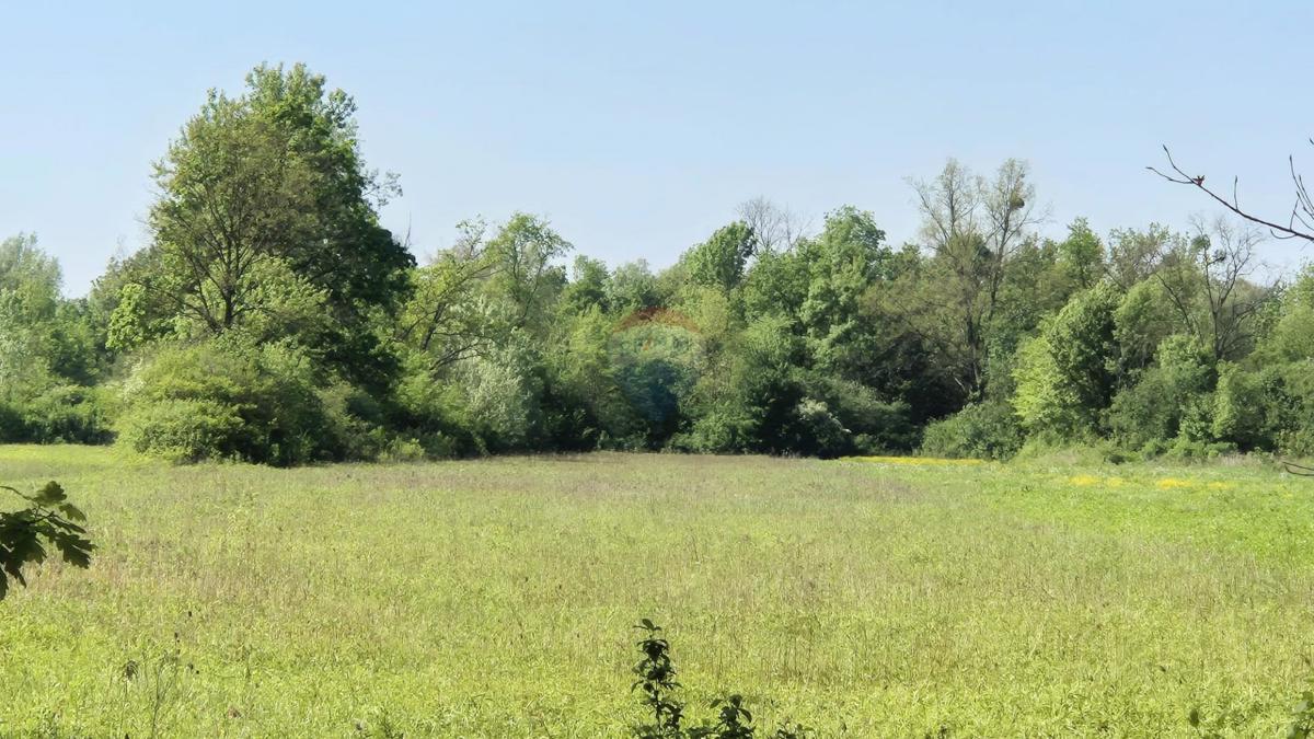 Terreno edificabile Bapča, Velika Gorica - Okolica, 14.750m2