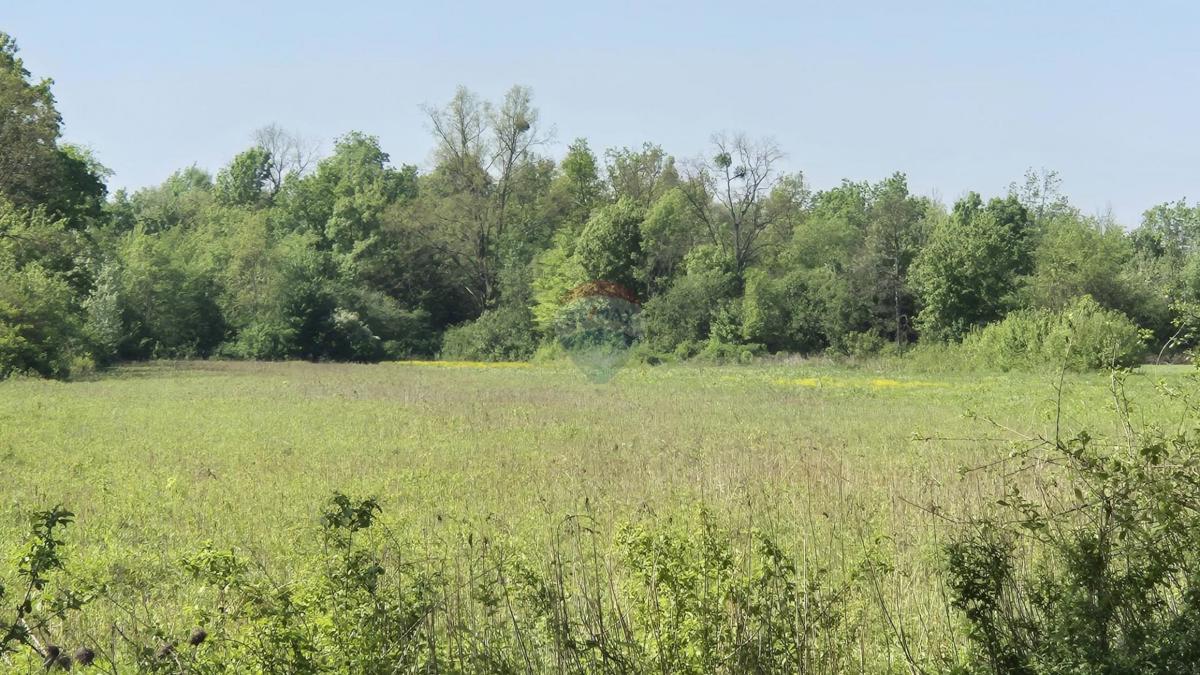 Terreno edificabile Bapča, Velika Gorica - Okolica, 14.750m2