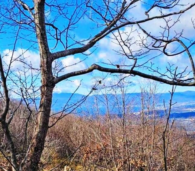 Terreno non edificabile Hreljin, Bakar, 20.000m2