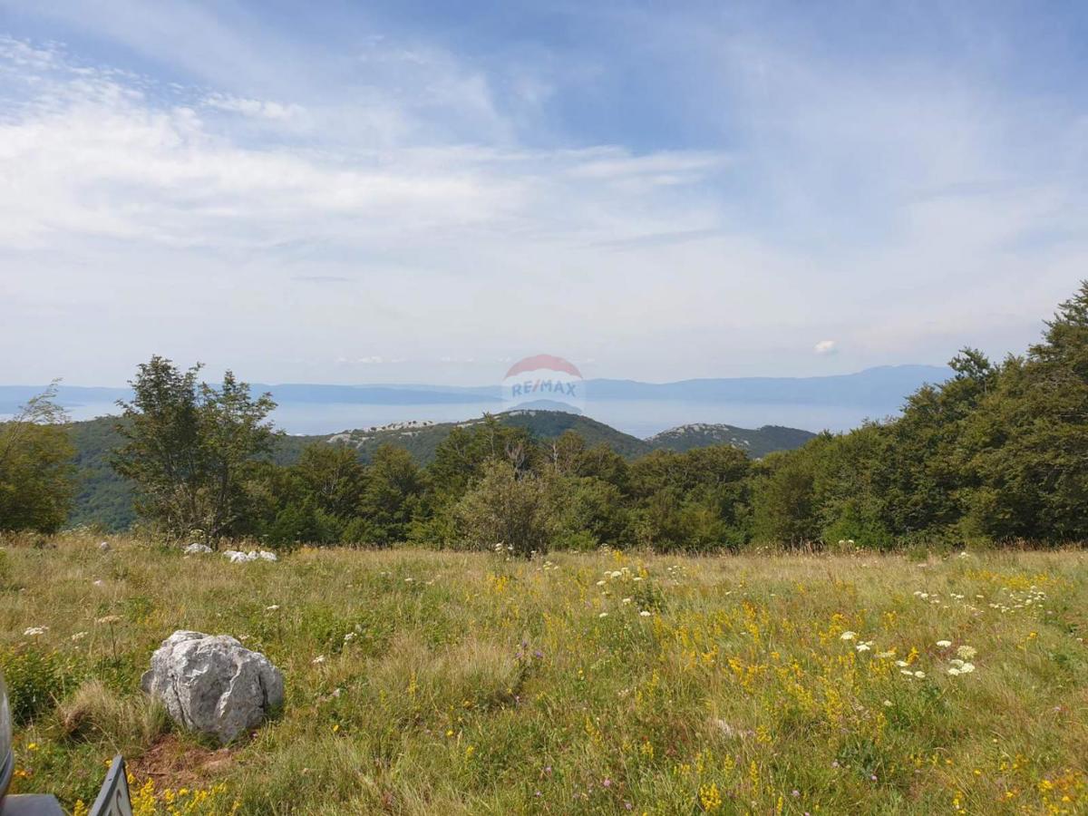 Terreno non edificabile Hreljin, Bakar, 20.000m2