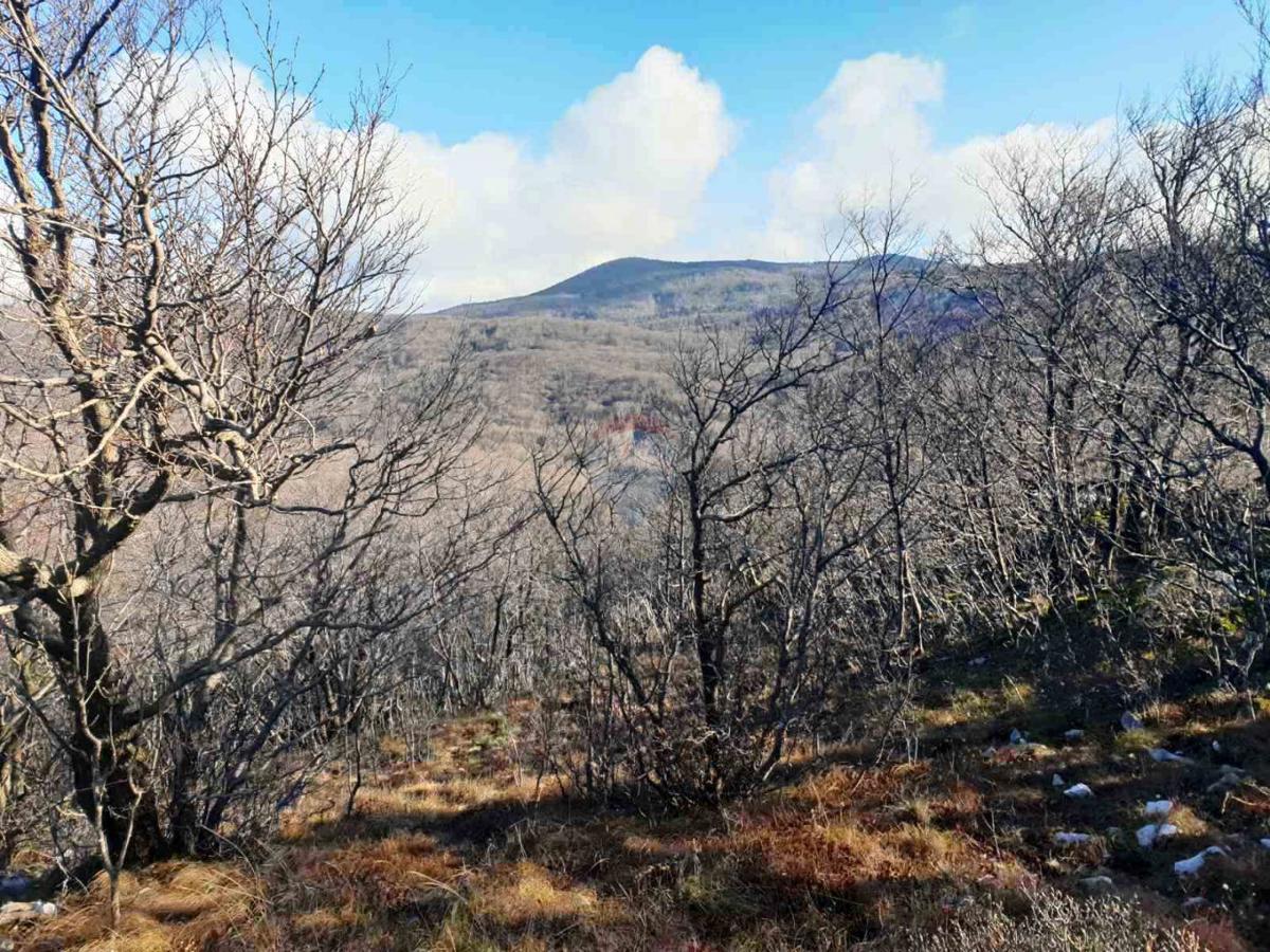 Terreno non edificabile Hreljin, Bakar, 20.000m2