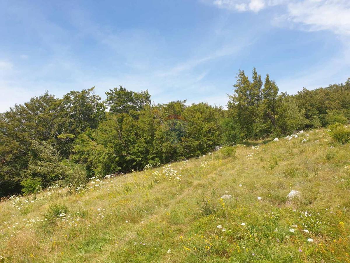 Terreno non edificabile Hreljin, Bakar, 20.000m2