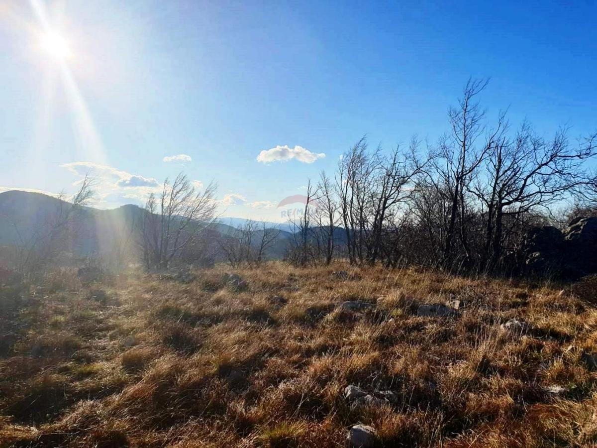 Terreno non edificabile Hreljin, Bakar, 20.000m2