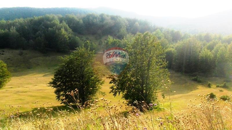 Terreno edificabile Jelenje, 5.004m2