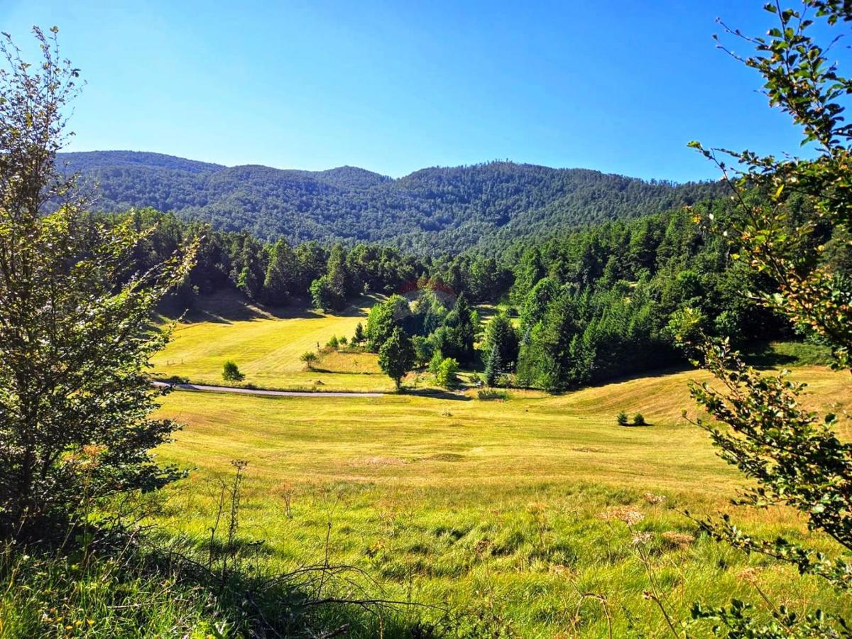 Terreno edificabile Jelenje, 5.004m2