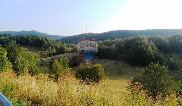 Terreno edificabile Jelenje, 5.004m2