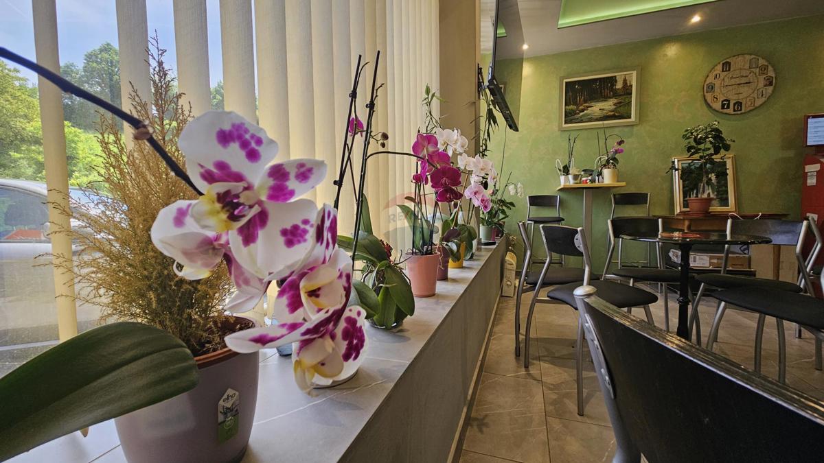 Attività commerciale Moravice, Vrbovsko, 84m2