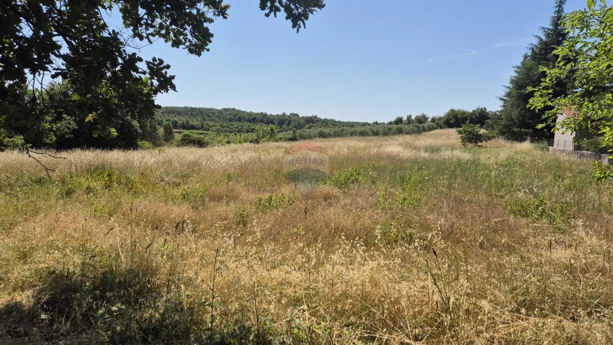 Terreno edificabile Višnjan, 5.029m2