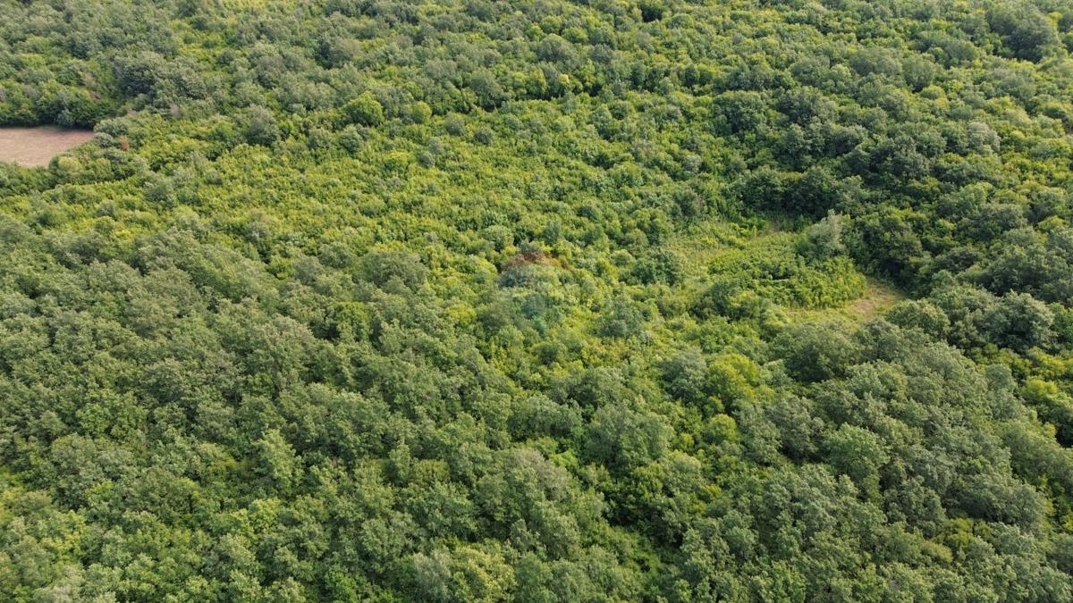ISTRIA, LIMSKI KANAL – Terreno agricolo lottizzato 14.362 m² – 12 particelle