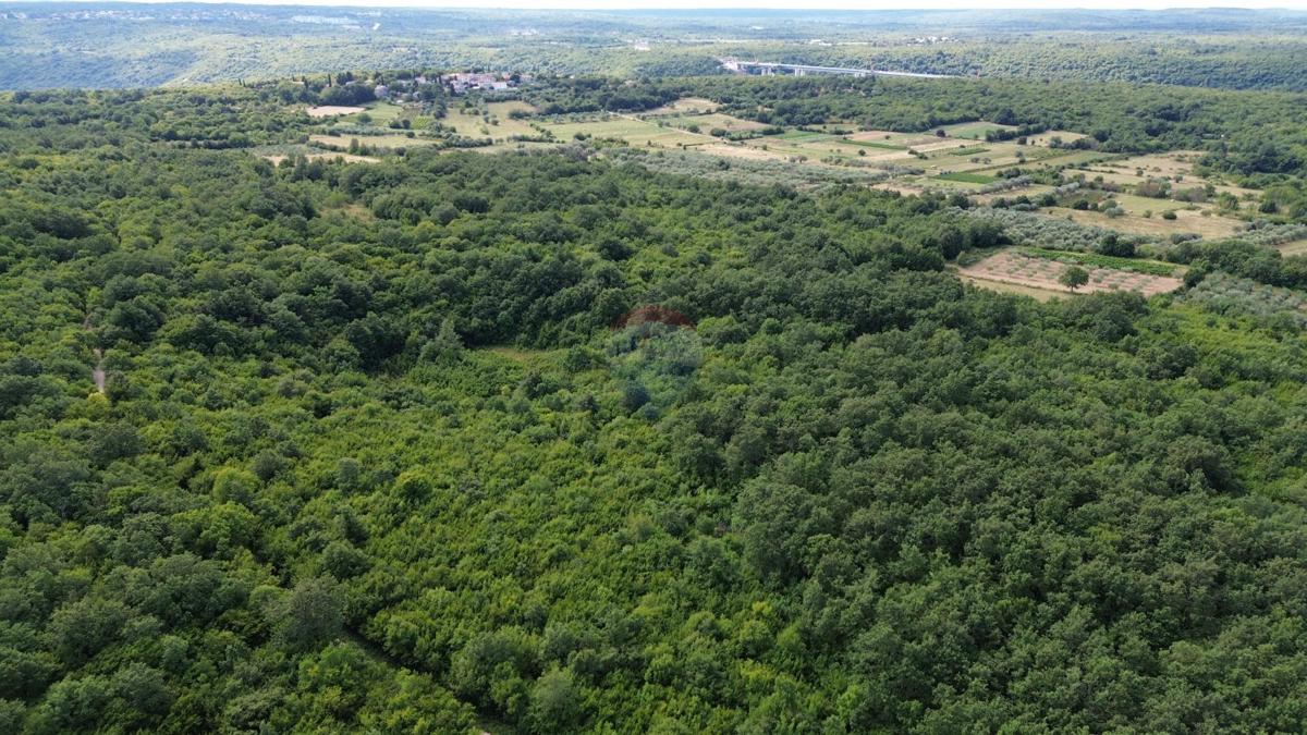 ISTRIA, LIMSKI KANAL – Terreno agricolo lottizzato 14.362 m² – 12 particelle