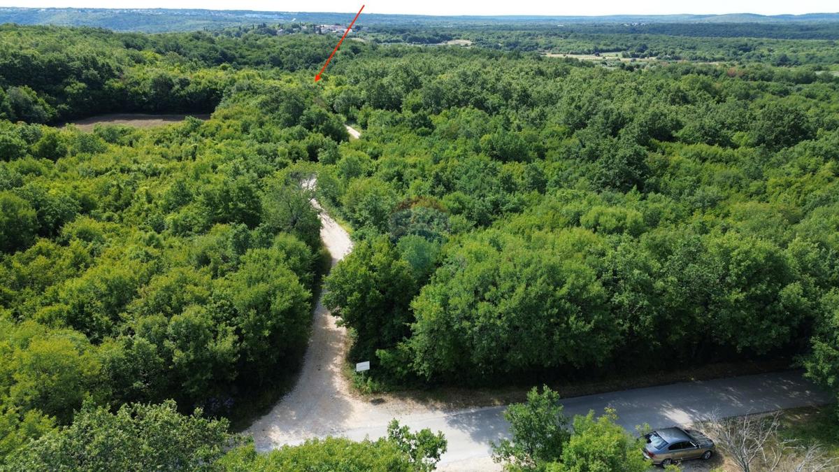 ISTRIA, LIMSKI KANAL – Terreno agricolo lottizzato 14.362 m² – 12 particelle