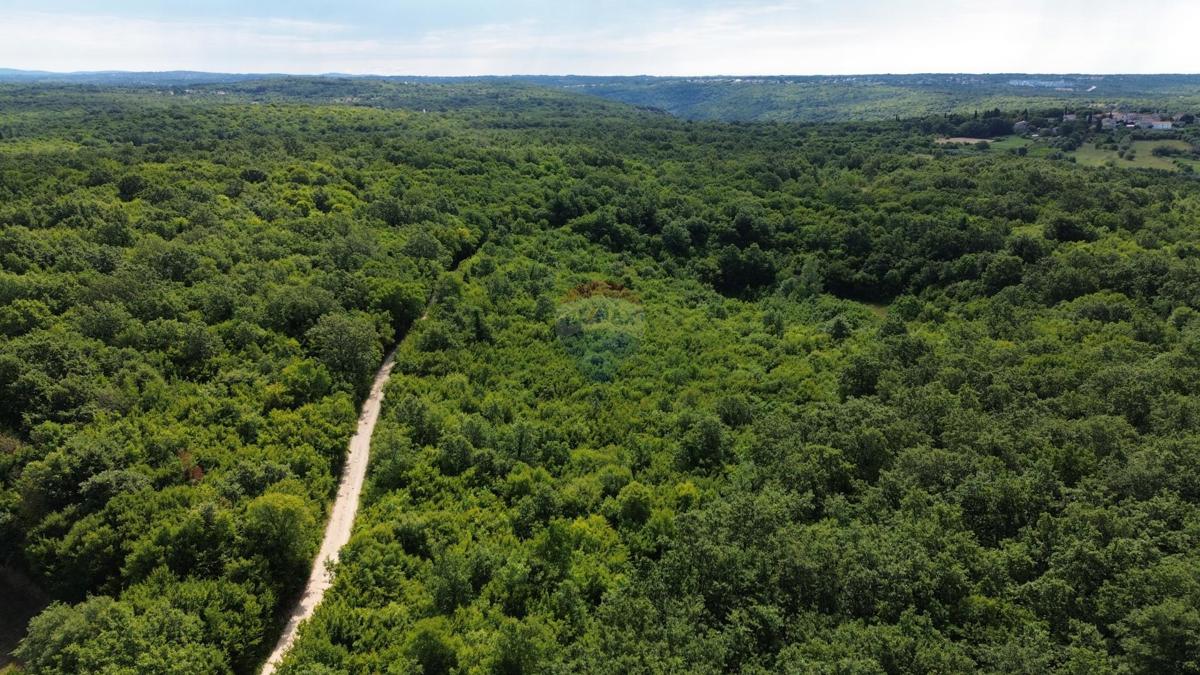 ISTRIA, LIMSKI KANAL – Terreno agricolo lottizzato 14.362 m² – 12 particelle