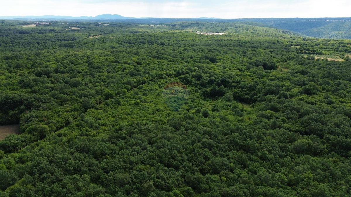 ISTRIA, LIMSKI KANAL – Terreno agricolo lottizzato 14.362 m² – 12 particelle
