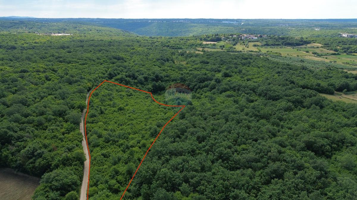 ISTRIA, LIMSKI KANAL – Terreno agricolo lottizzato 14.362 m² – 12 particelle