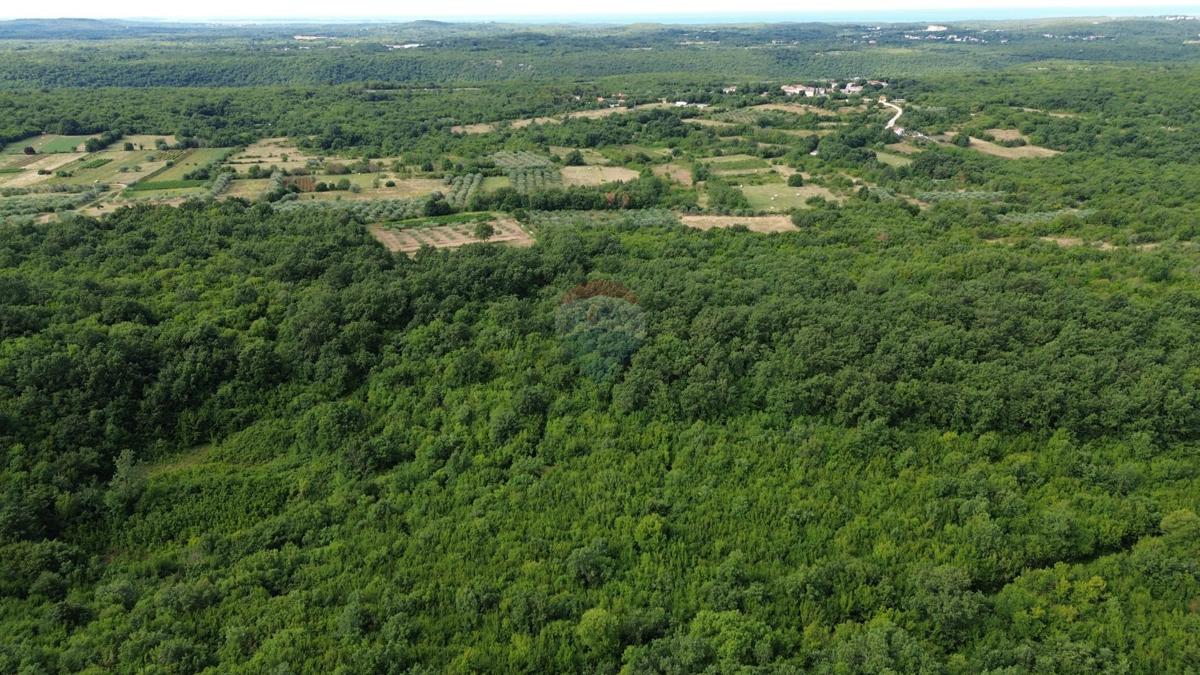ISTRIA, LIMSKI KANAL – Terreno agricolo lottizzato 14.362 m² – 12 particelle