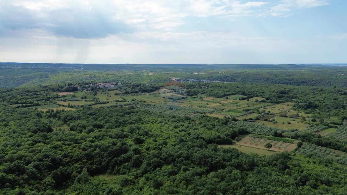 ISTRIA, LIMSKI KANAL – Terreno agricolo lottizzato 14.362 m² – 12 particelle