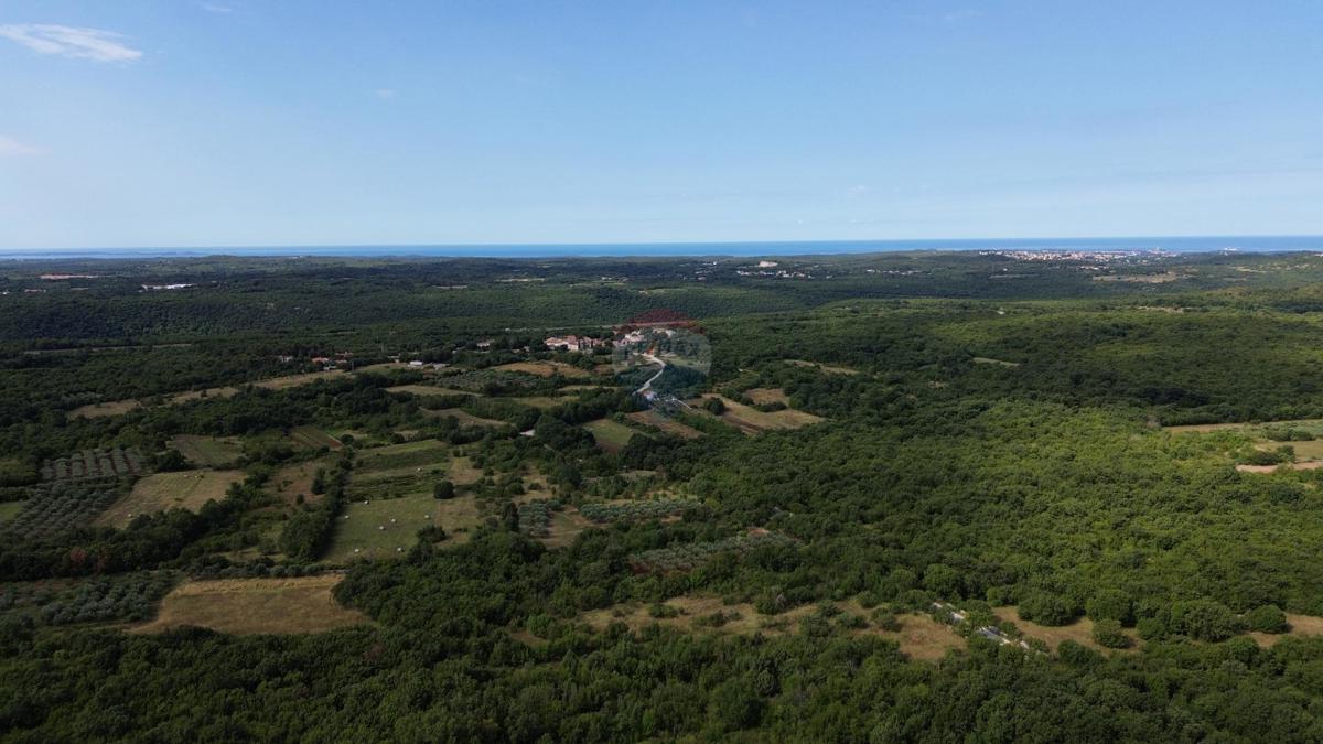 ISTRIA, LIMSKI KANAL – Terreno agricolo lottizzato 14.362 m² – 12 particelle