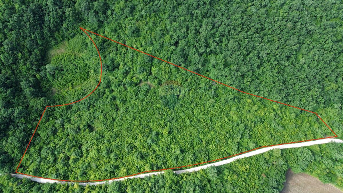 ISTRIA, LIMSKI KANAL – Terreno agricolo lottizzato 14.362 m² – 12 particelle