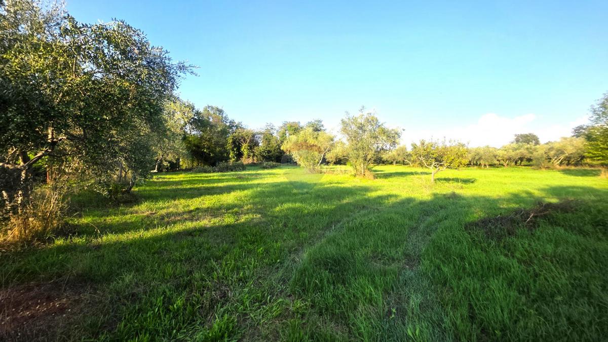 Casa Lovrečica, Umag, 41m2