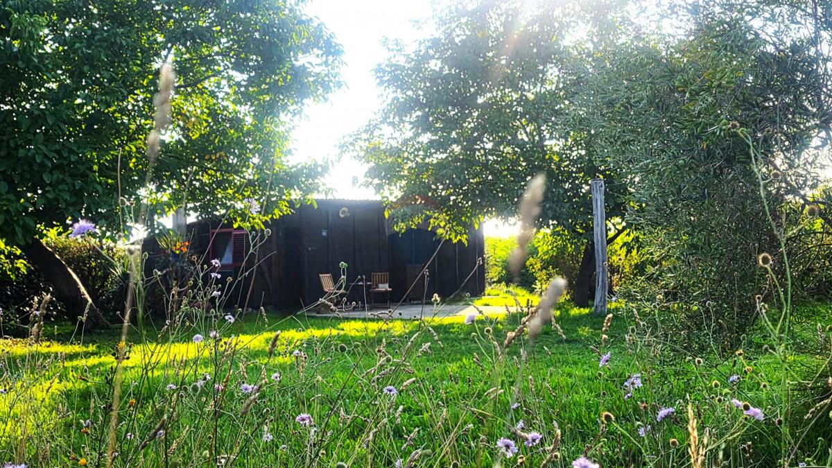 Casa Lovrečica, Umag, 41m2