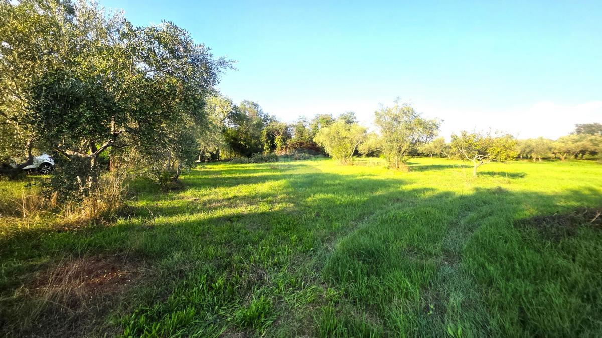 Casa Lovrečica, Umag, 41m2